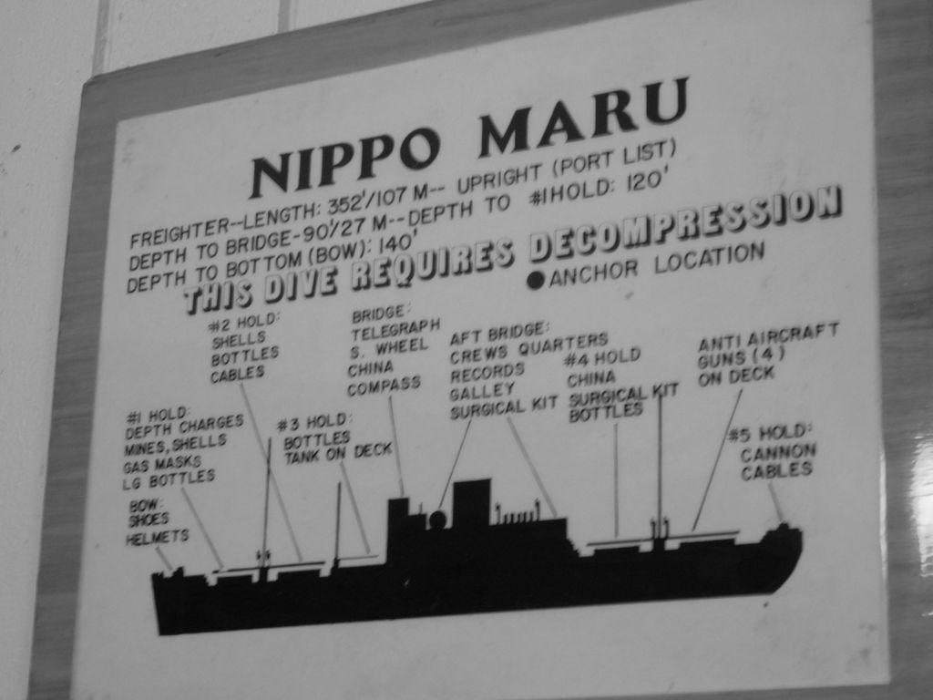 (c) BLR - Nippo Maru 