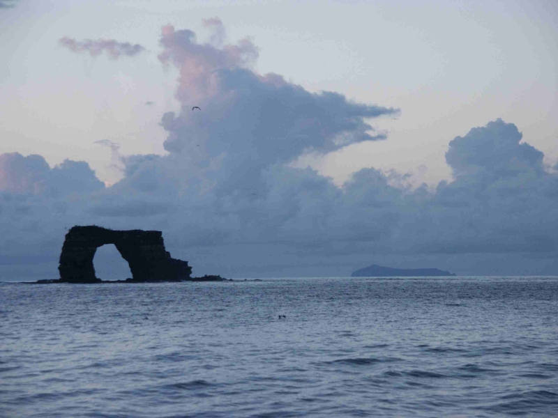 Galapagos - Bild 1 von 36 - Arch von Darwin (131157 Byte)